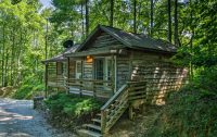 Cabins in the woods.jpg